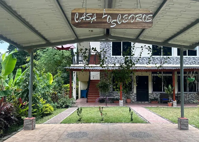 Los Cedros