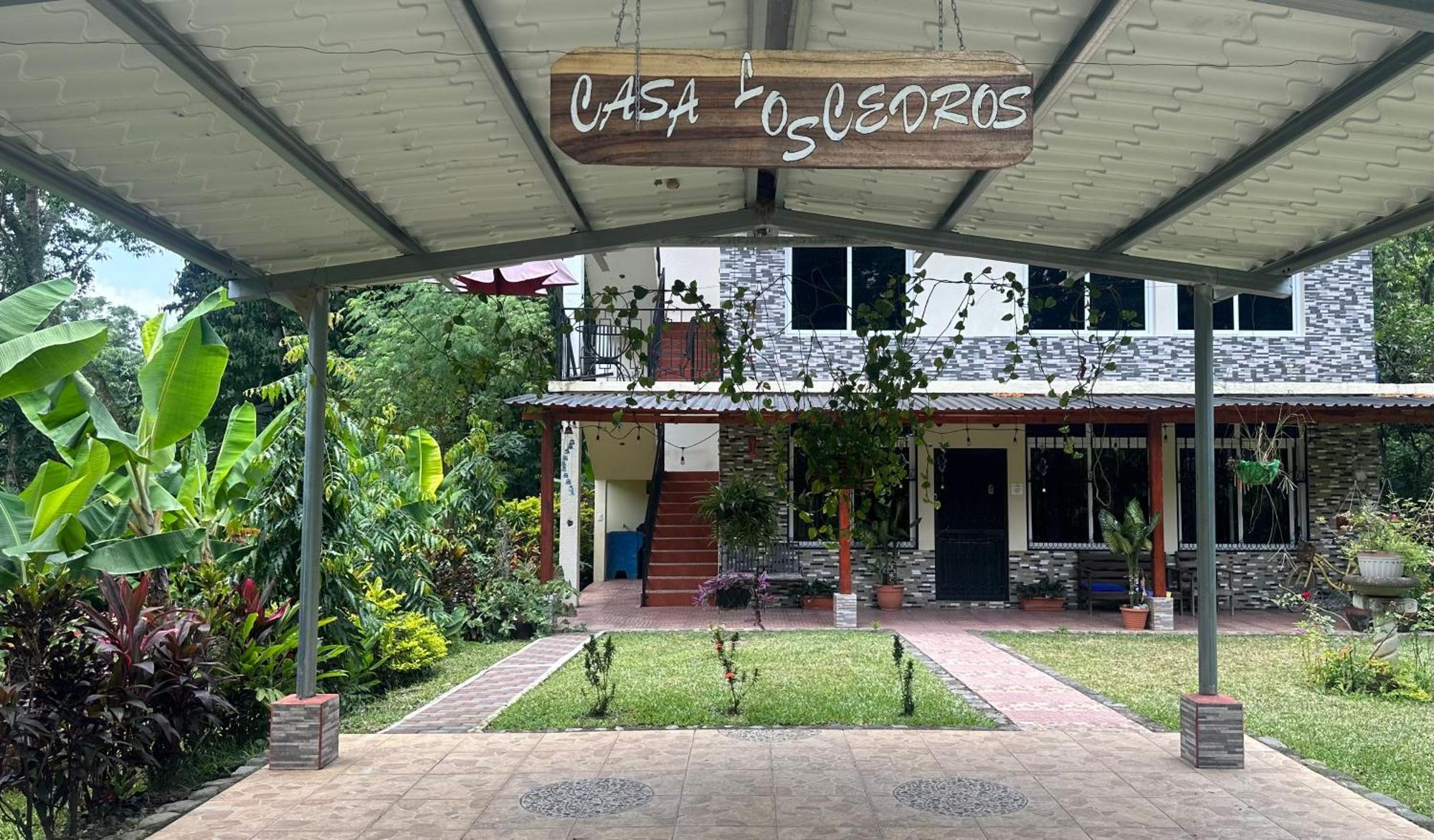 Cedros San Martin Zapotitlan